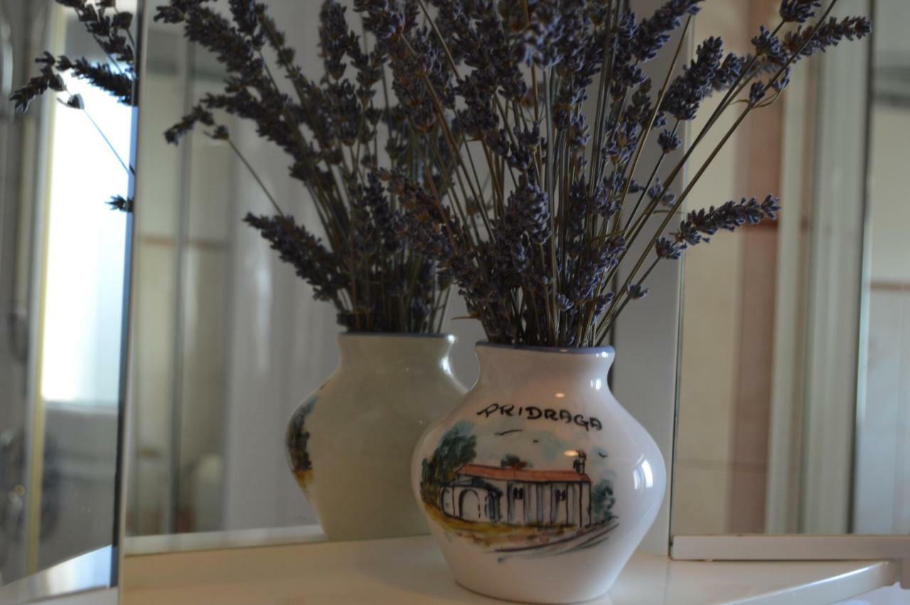 Apartman Lucija Apartment Pridraga Bagian luar foto