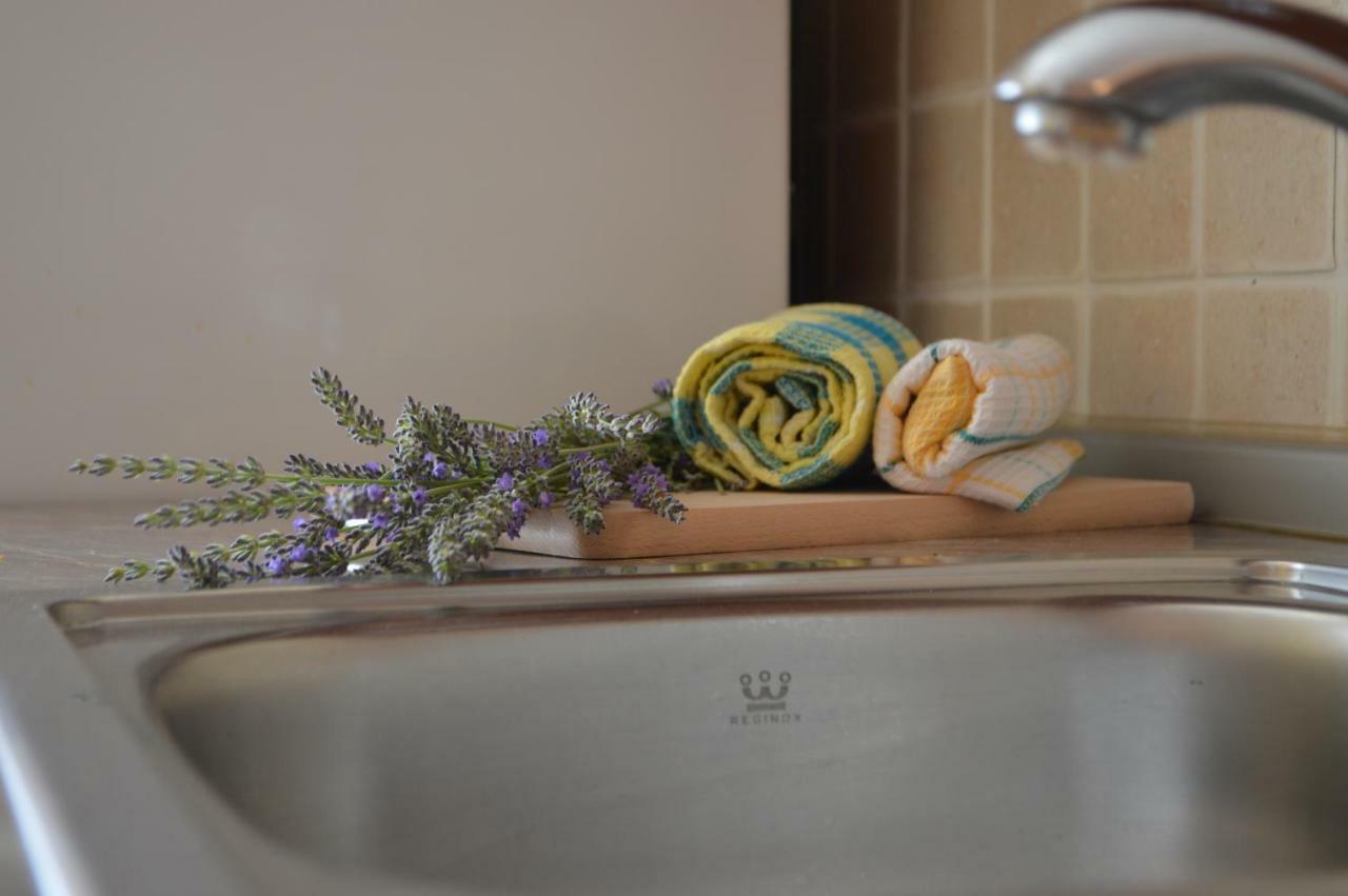 Apartman Lucija Apartment Pridraga Bagian luar foto